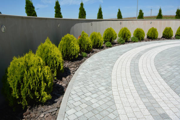 Best Driveway Paving Near Me  in Forest Hills, TN