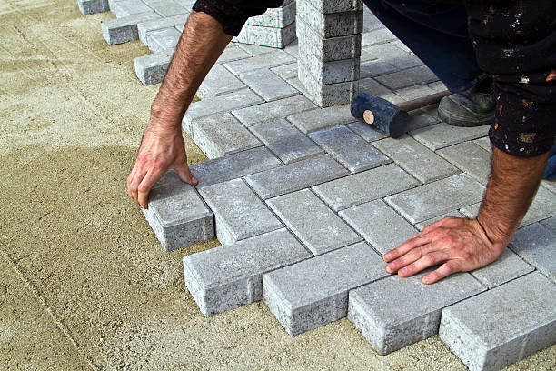 Best Affordable Driveway Paving  in Forest Hills, TN